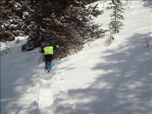 Breck2008 014.jpg